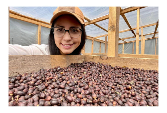 Women Coffee Producers Series Part One - Honduras