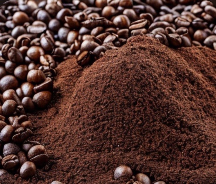 What You Can Do With Spent Coffee Grounds or Old Beans - Cloudland Coffee Company