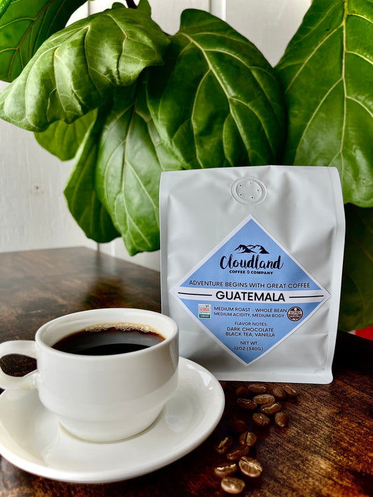 Guatemala - Women Coffee Producers