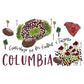 Columbia Tumbler - Cloudland Coffee Company