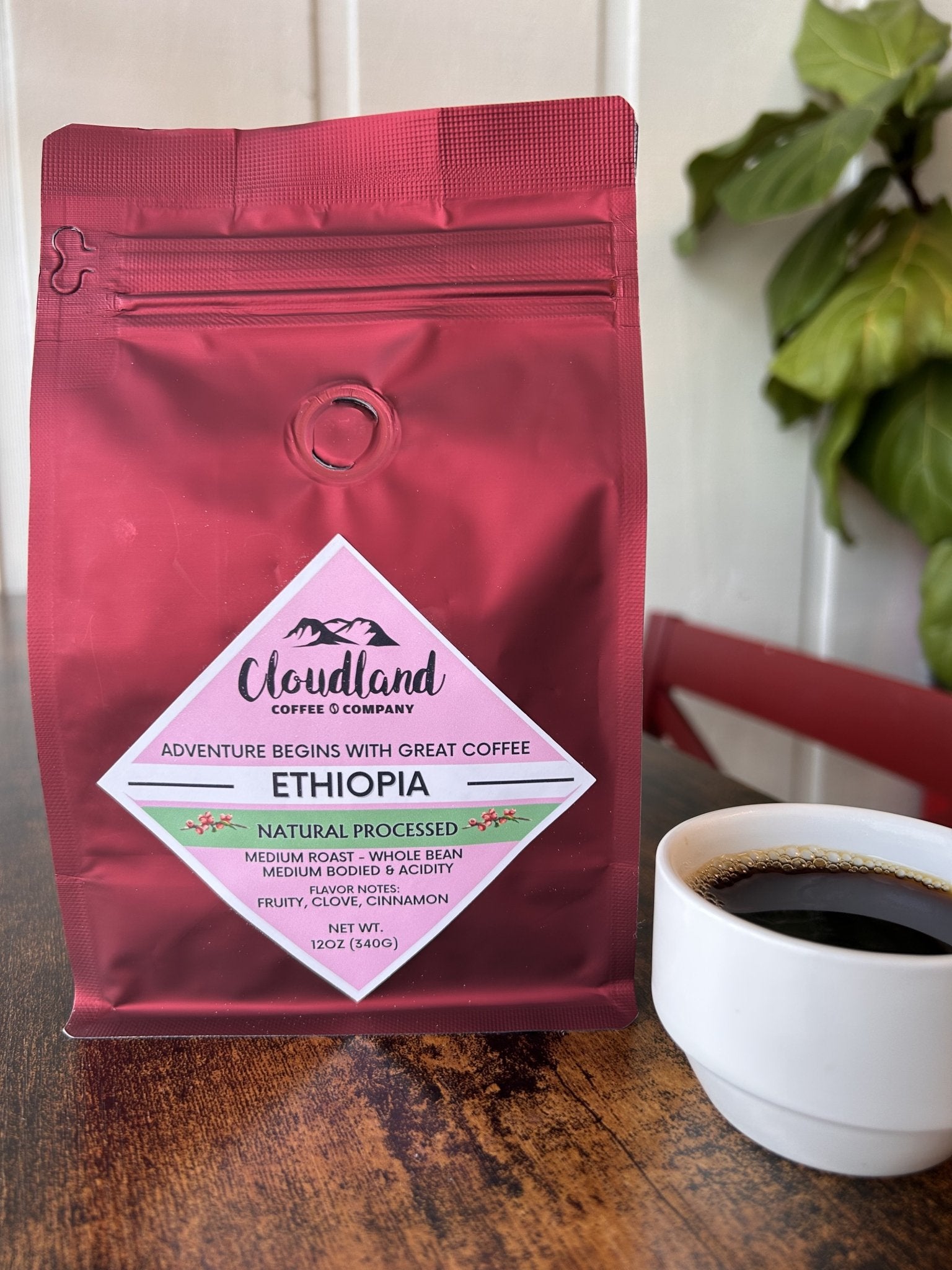 Ethiopia Coffee Natural Processed - Cloudland Coffee Company