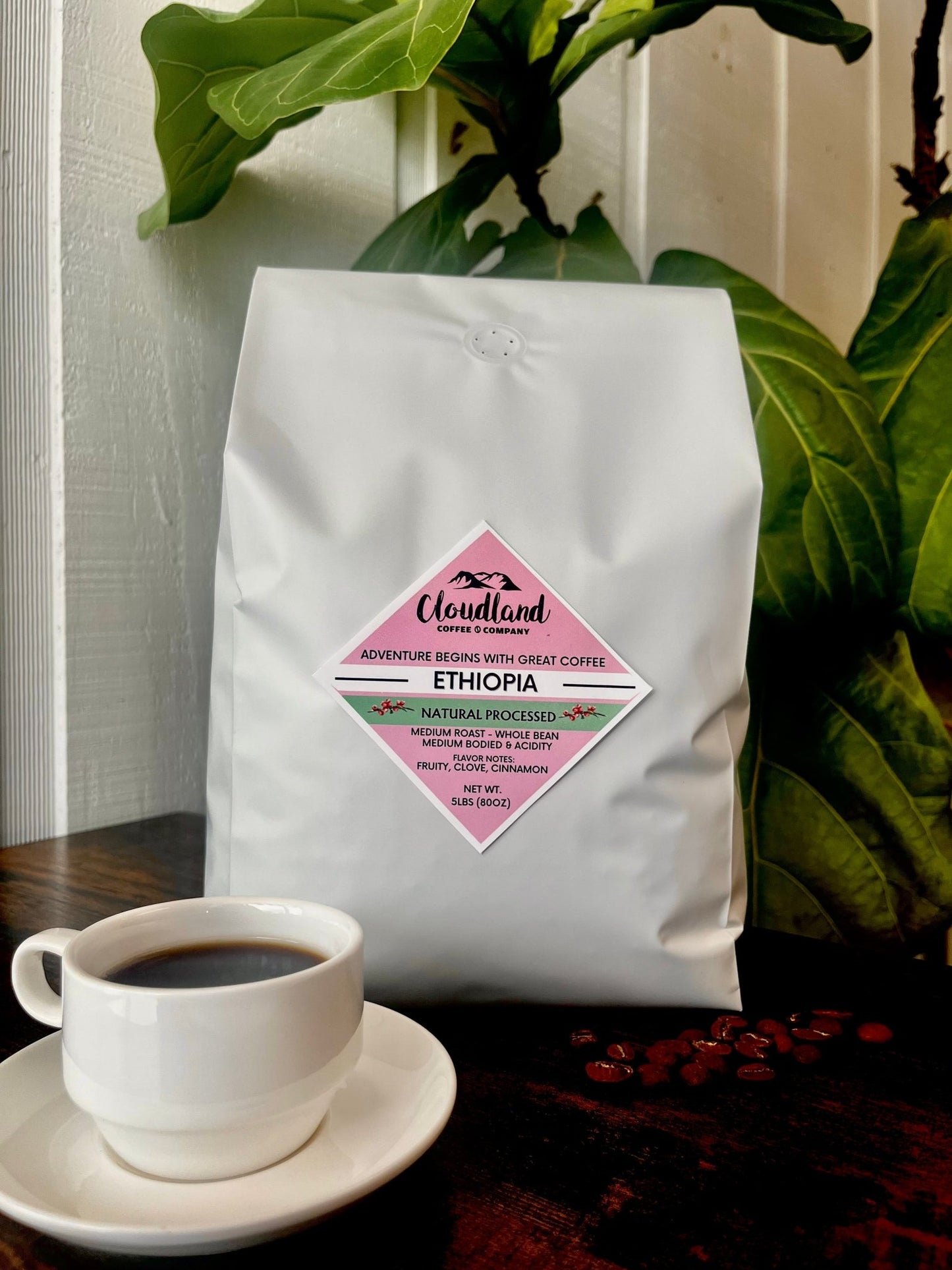 Ethiopia Coffee Natural Processed - Cloudland Coffee Company