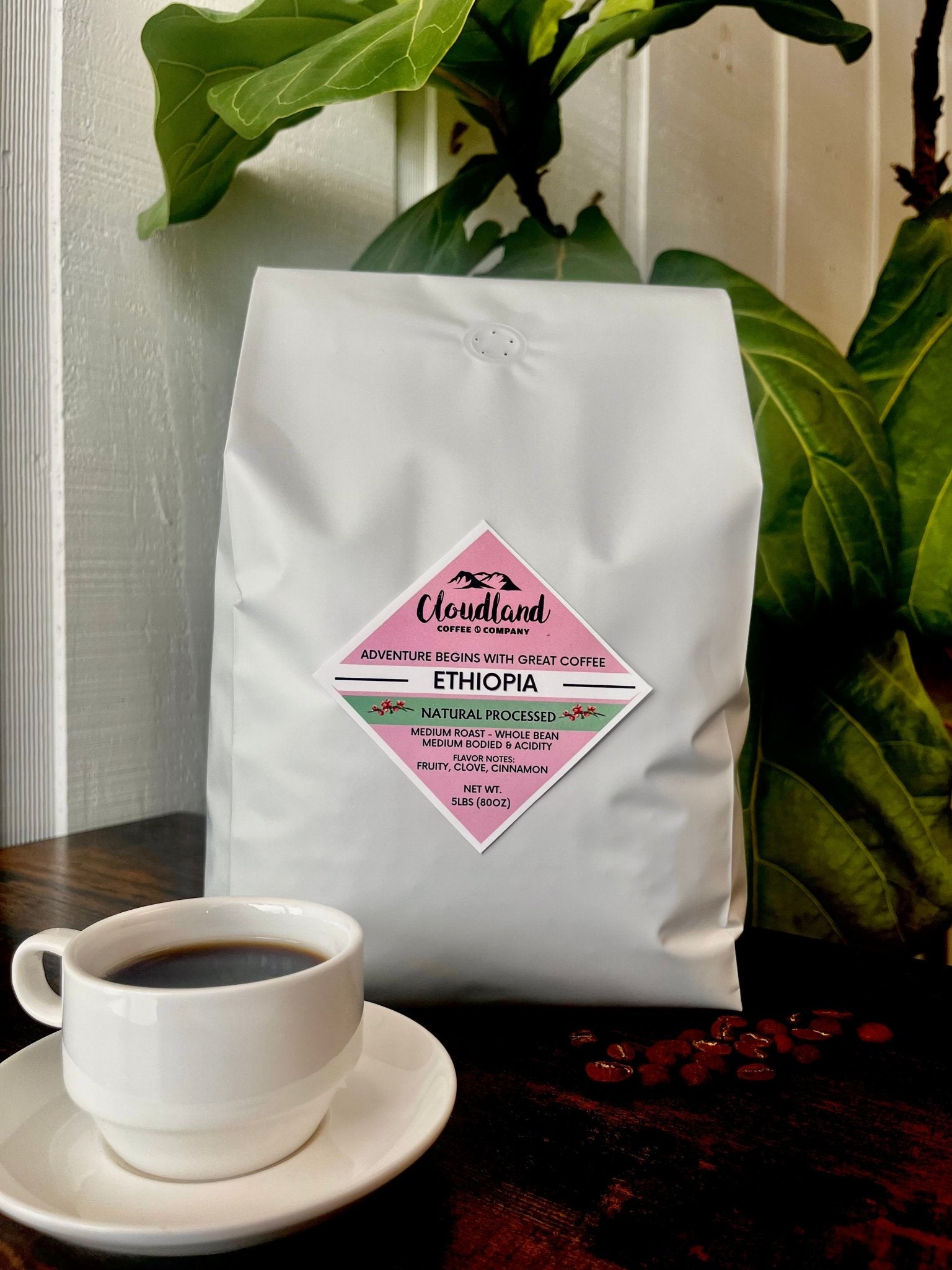 Ethiopia Coffee Natural Processed - Cloudland Coffee Company