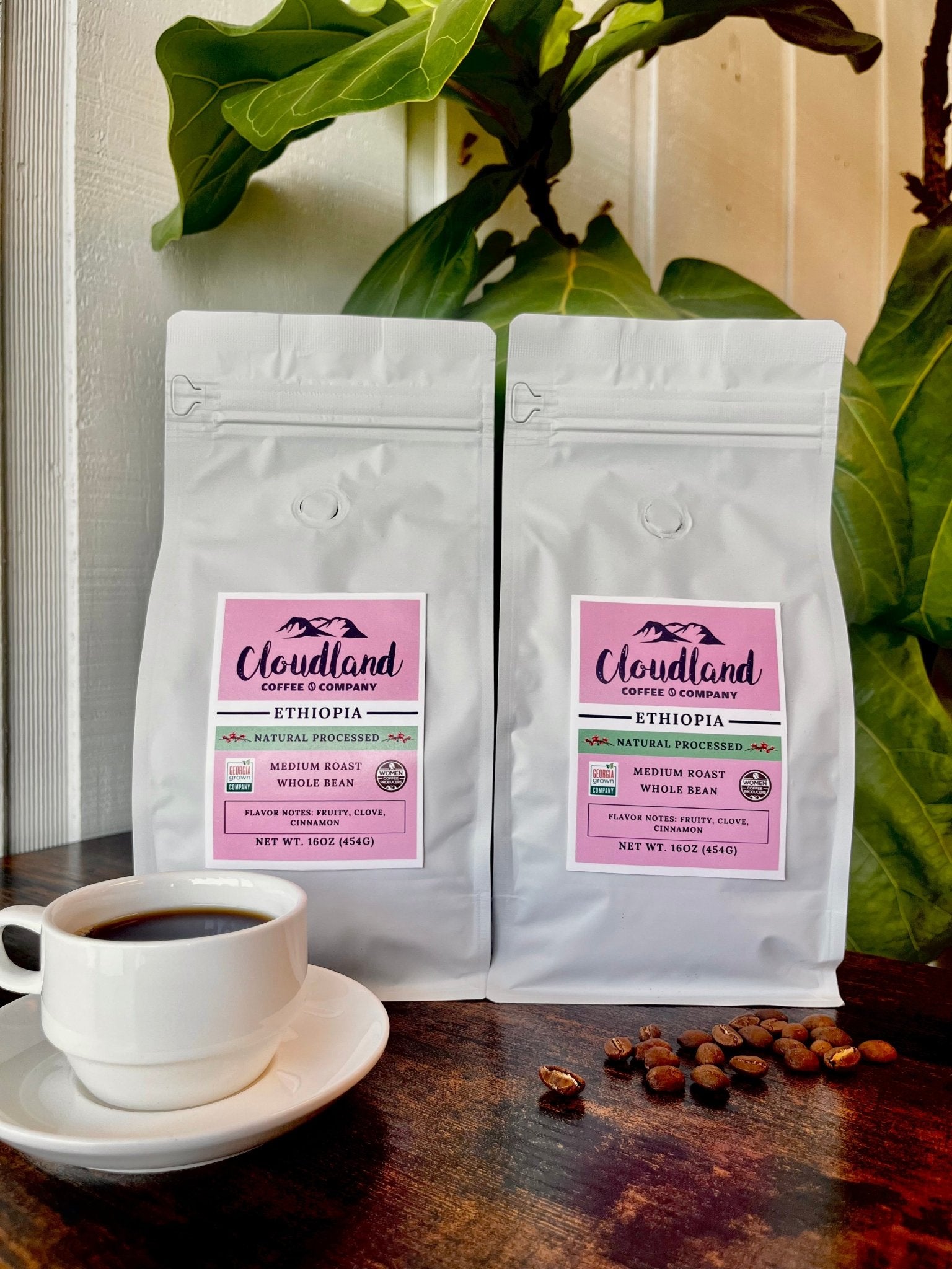Ethiopia Coffee Natural Processed - Cloudland Coffee Company