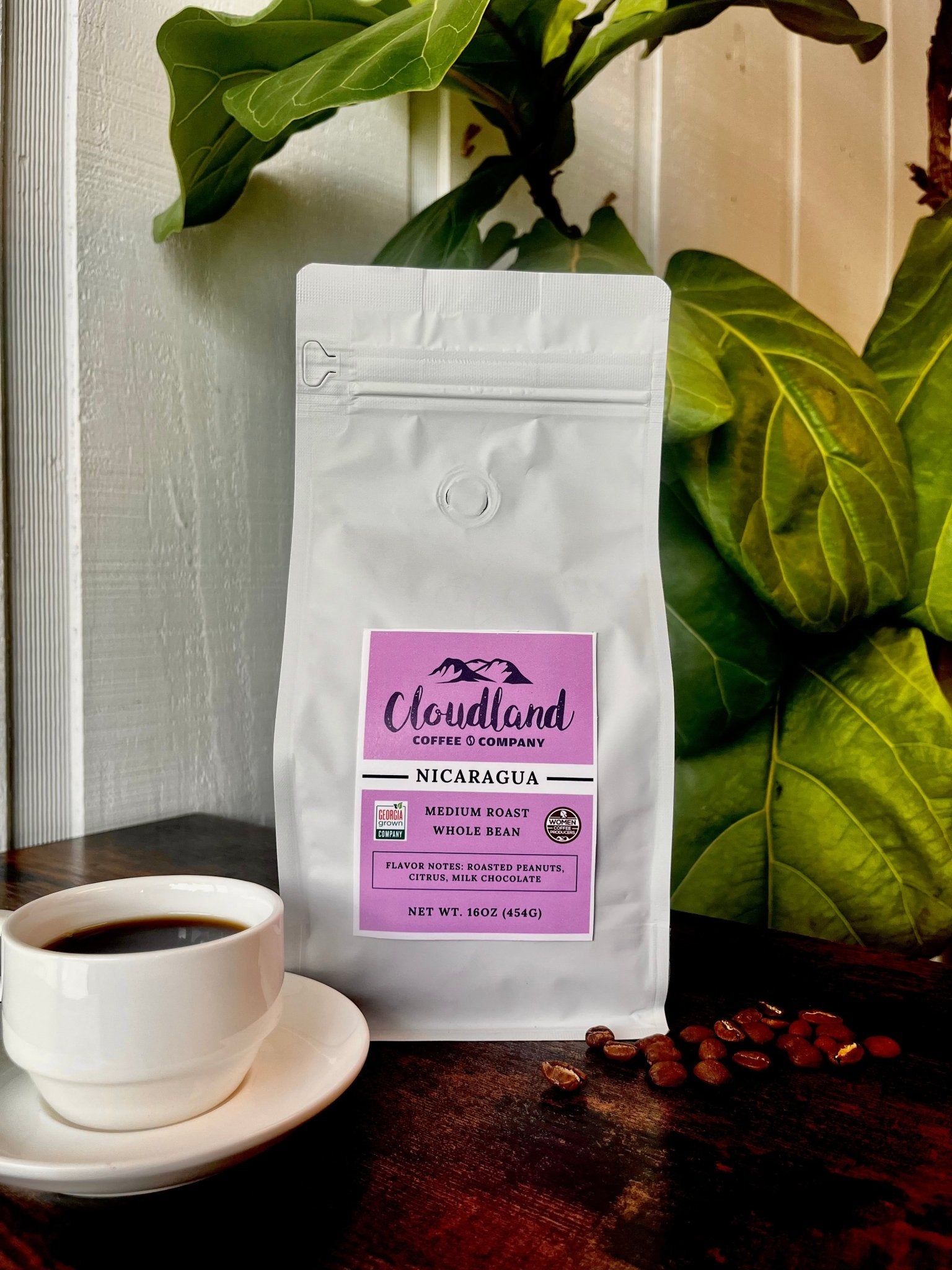 Nicaragua Coffee - Cloudland Coffee Company