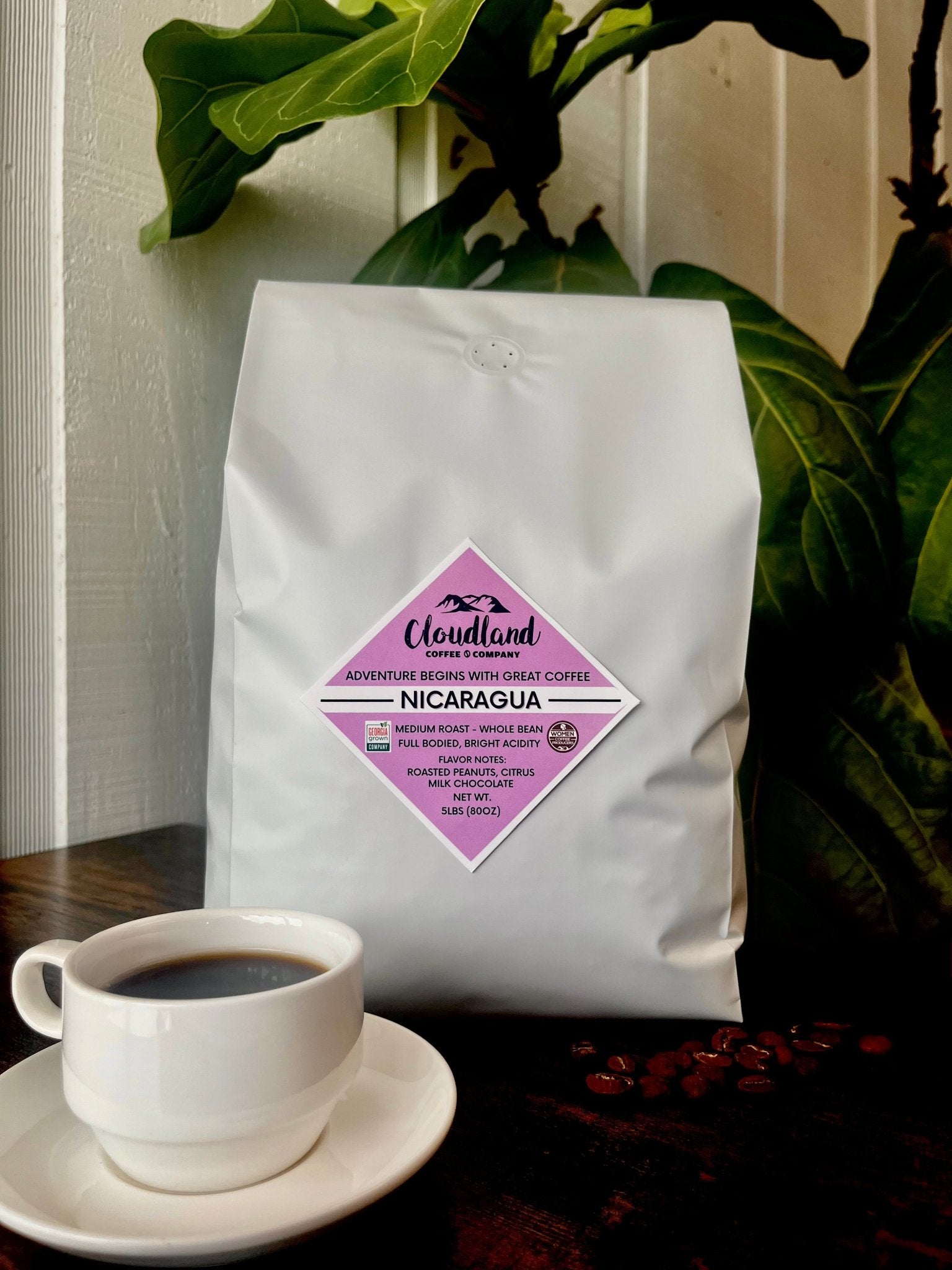 Nicaragua Coffee - Cloudland Coffee Company