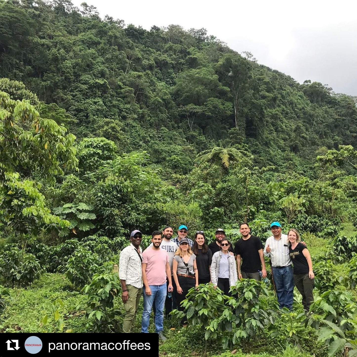 Guatemala - Women Coffee Producers