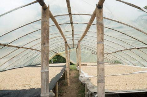 Colombia Coffee - Cloudland Coffee Company