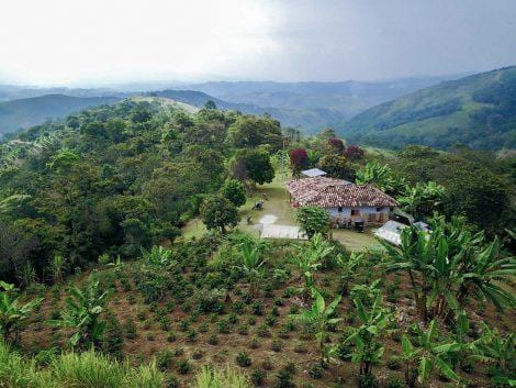 Colombia Coffee - Cloudland Coffee Company
